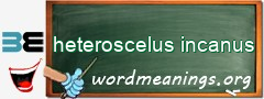 WordMeaning blackboard for heteroscelus incanus